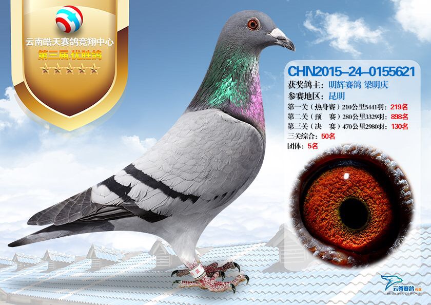 云南皓天公棚最新動(dòng)態(tài)，日常溫暖的角落