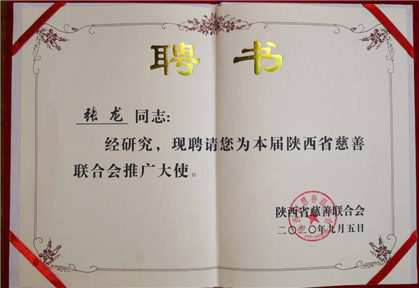 王建領(lǐng)解讀陜西省新聞，深度剖析與觀點(diǎn)闡述