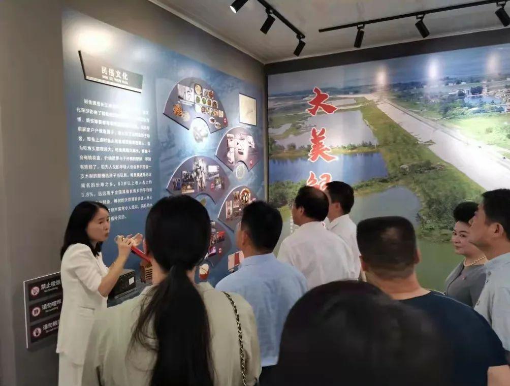 桐城市鱘魚鎮(zhèn)最新區(qū)劃，開啟新篇章