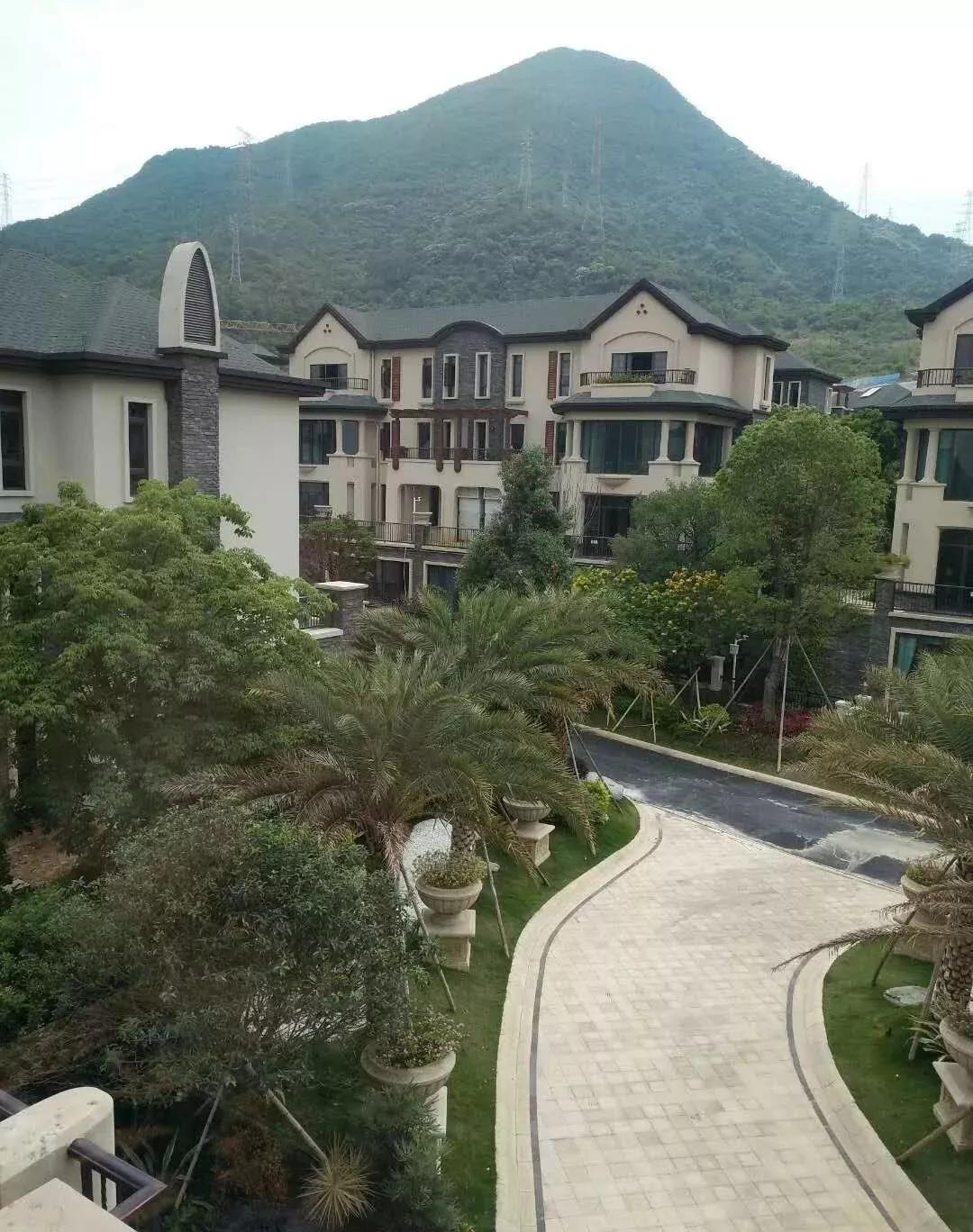 七菇八姨的新地址，時(shí)代變遷中的記憶與探索
