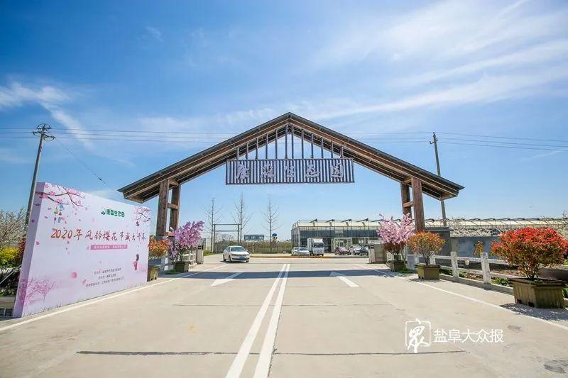 鹽城步鳳鎮(zhèn)最新規(guī)劃圖詳解，規(guī)劃步驟指南與詳細指南
