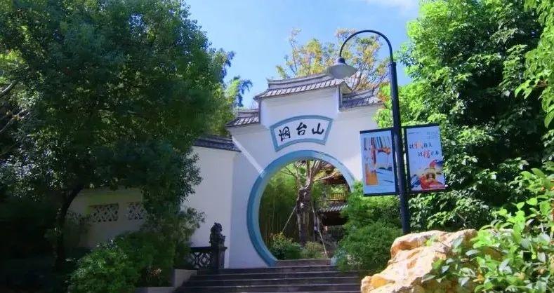 煙臺(tái)山新動(dòng)態(tài)，山澗趣事與友情的溫馨篇章
