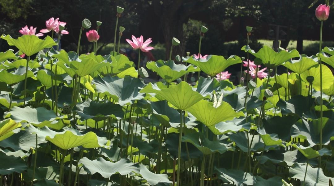 聯(lián)系我們 第266頁(yè)