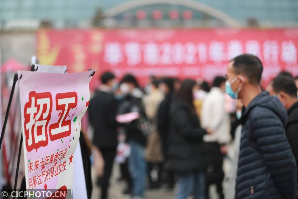 招投標(biāo)咨詢 第287頁
