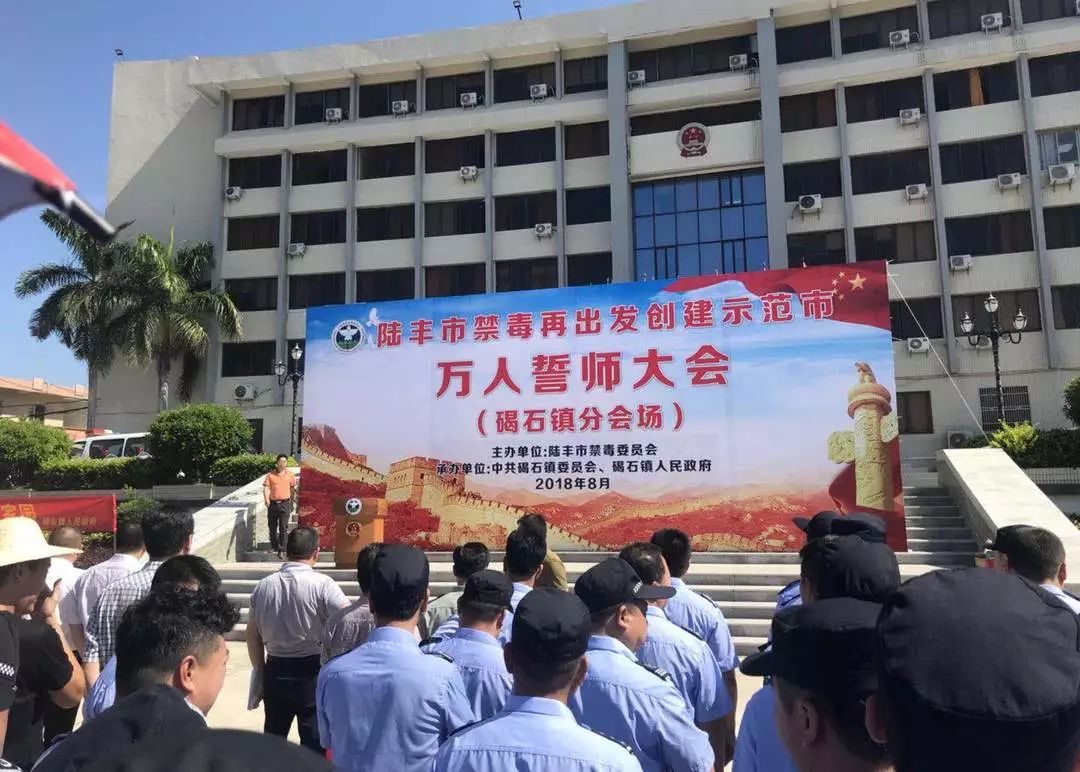汕尾陸豐市最新新聞回顧與概覽