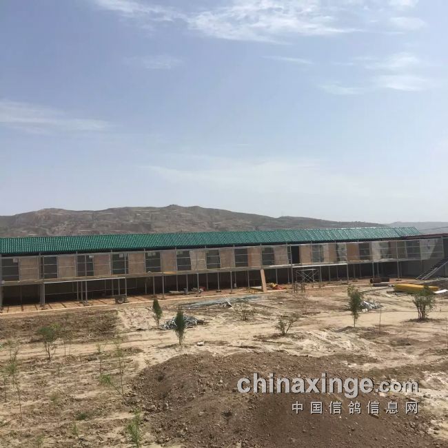隴西眾翔公棚最新動(dòng)態(tài)更新