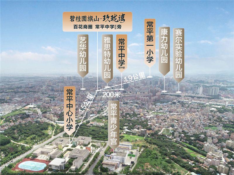 東莞地鐵R3最新動態(tài)，啟程自然美景探索之旅