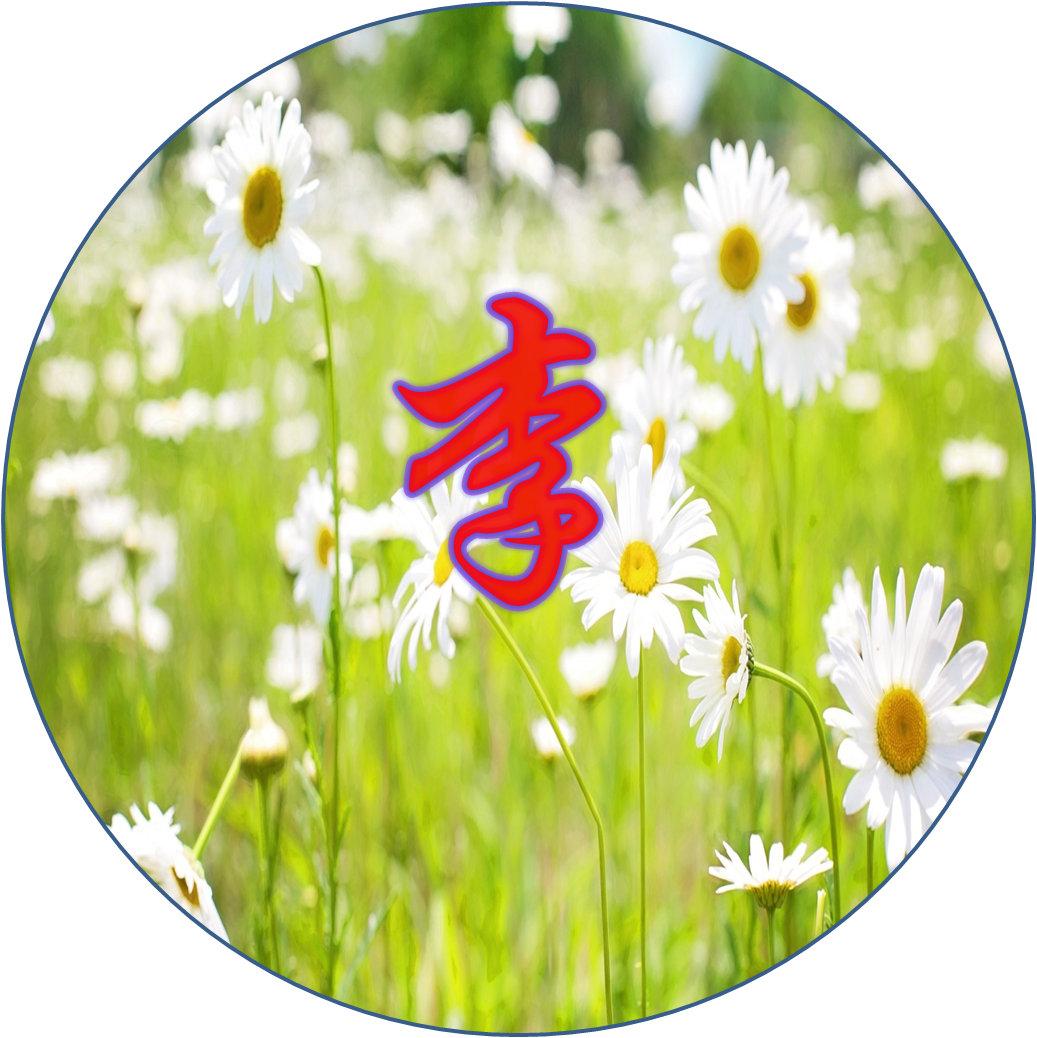 2017QQ最新頭像,探索自然美景之旅,尋找內(nèi)心的平和寧?kù)o