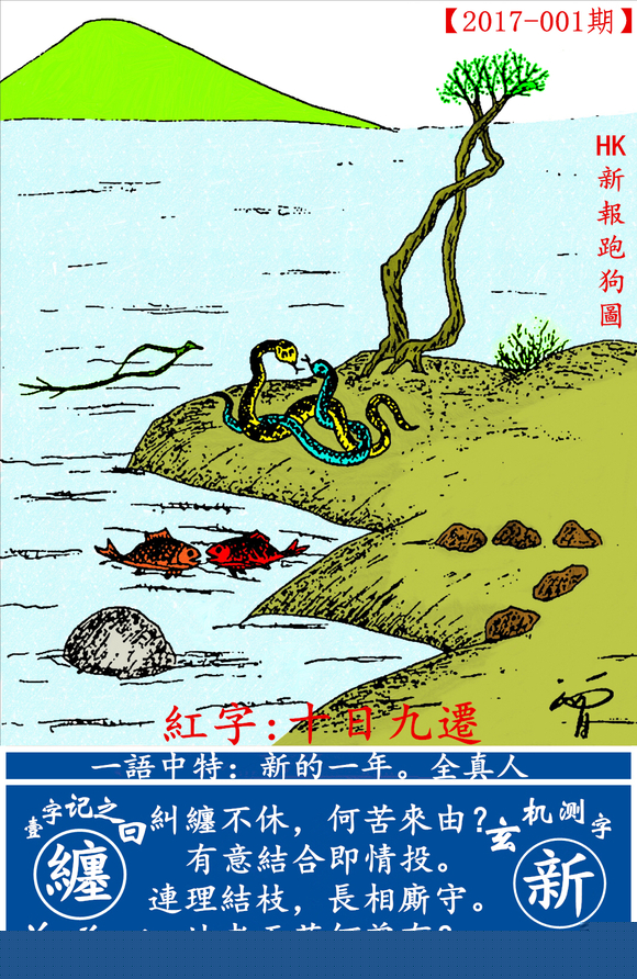 7777788888新版跑狗圖,解答題全面分析_迅捷版16.605