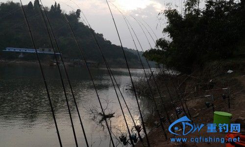 五強(qiáng)溪釣魚(yú)最新動(dòng)態(tài)揭秘????
