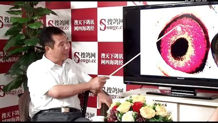 搜鴿網(wǎng)鄧文敏最新視頻，高科技產(chǎn)品新里程碑