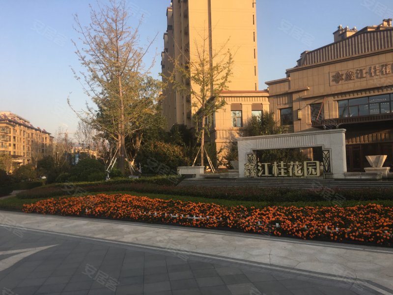 鑫江桂花園最新動態(tài)與消息????