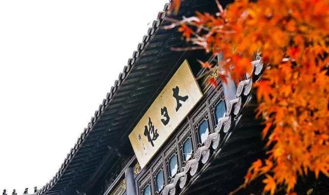 溧陽西城花園一區(qū)最新動態(tài)及攻略指南，探索最新動態(tài)，盡享生活魅力！
